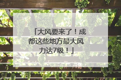大风要来了！成都这些地方最大风力达7级！